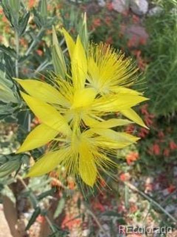 1111 Utica Circle, Boulder, CO 80304