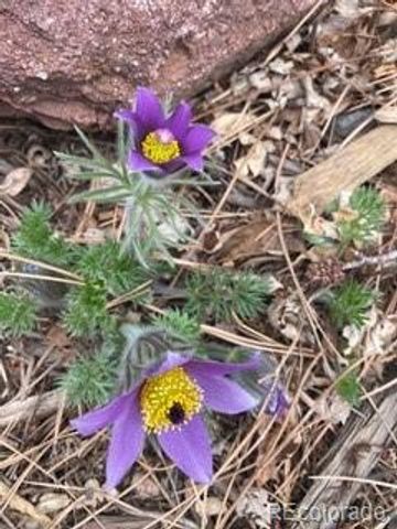 1111 Utica Circle, Boulder, CO 80304