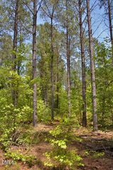 G G F Ball Road, Louisburg, NC 27549