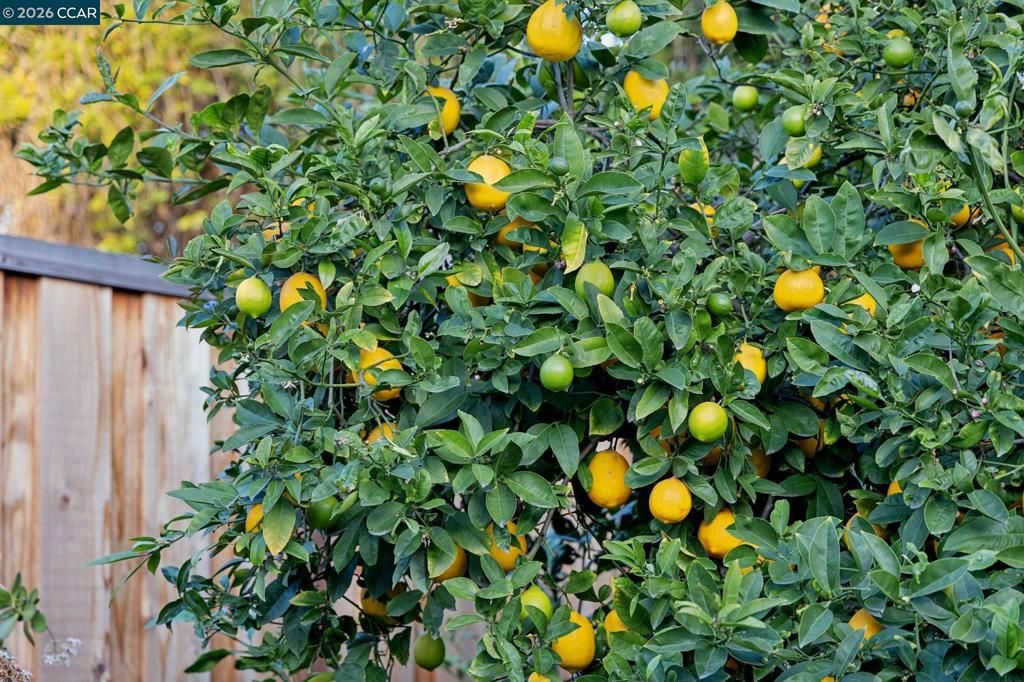 Image 26 of property listing at 4508 Stevenson Blvd, Fremont, CA 94538