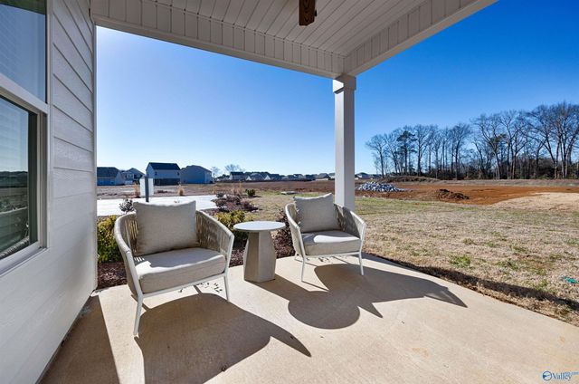 1114 Tanger Glen Trail NW, Harvest, AL 35749