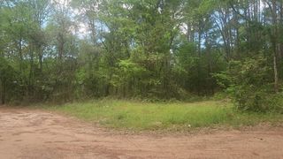 Lot 6 Thornwood Drive, Plantersville, TX 77363