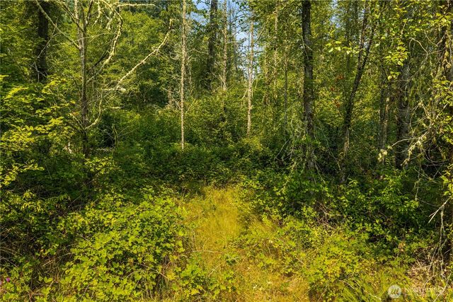 11817 288th Street E, Graham, WA 98338