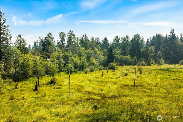 11817 288th Street E, Graham, WA 98338
