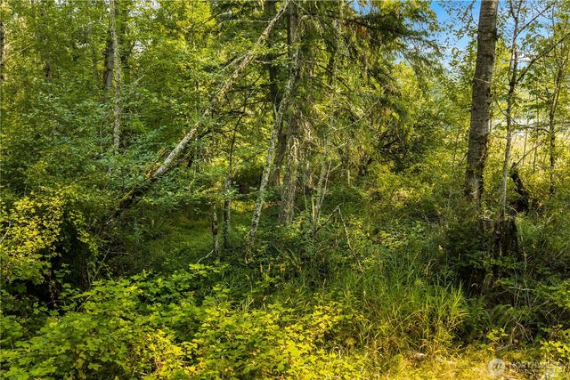 11817 288th Street E, Graham, WA 98338