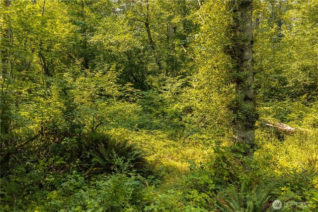 11817 288th Street E, Graham, WA 98338