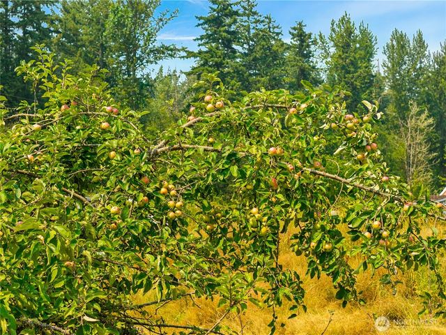 11817 288th Street E, Graham, WA 98338