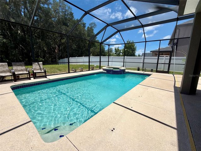 10531 MISTFLOWER LANE, Tampa, FL 33647