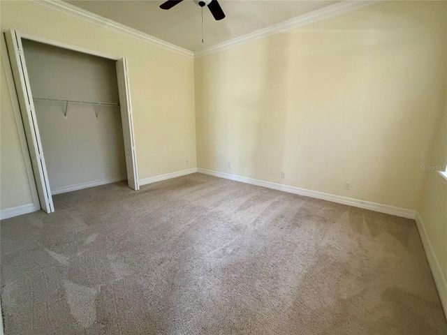 10531 MISTFLOWER LANE, Tampa, FL 33647