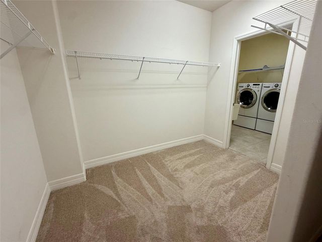 10531 MISTFLOWER LANE, Tampa, FL 33647