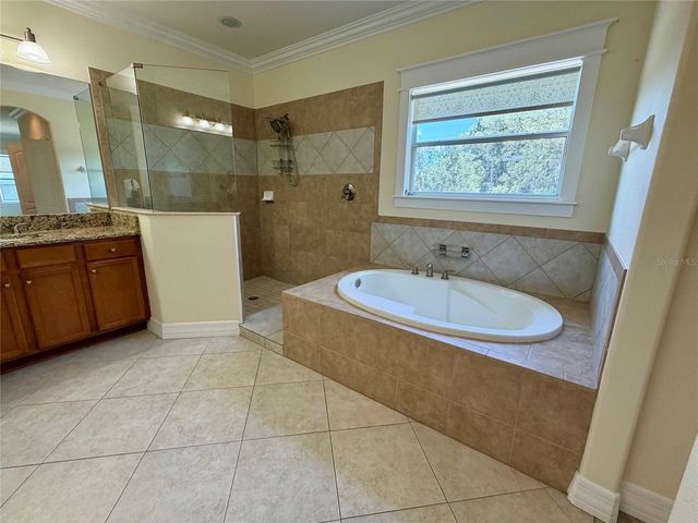 10531 MISTFLOWER LANE, Tampa, FL 33647