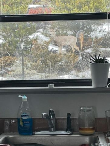 150 GCR 442 1C, Grand Lake, CO 80447