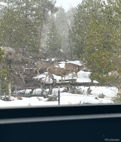 150 GCR 442 1C, Grand Lake, CO 80447