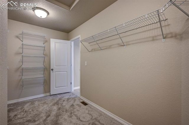 8235 Kittrick Place, Falcon, CO 80831