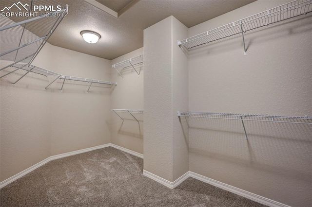 8235 Kittrick Place, Falcon, CO 80831