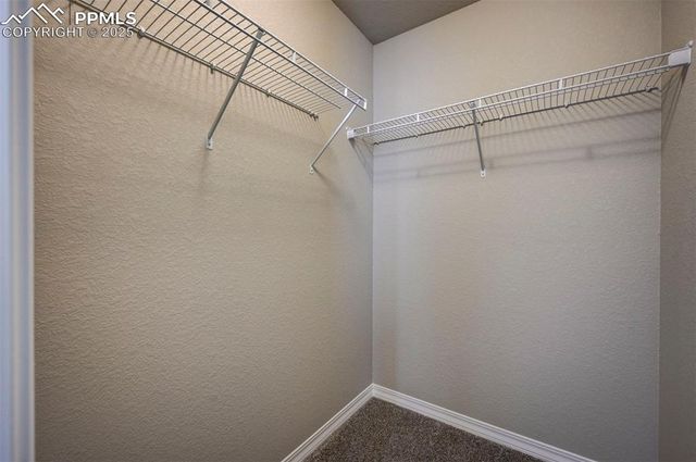 8235 Kittrick Place, Falcon, CO 80831