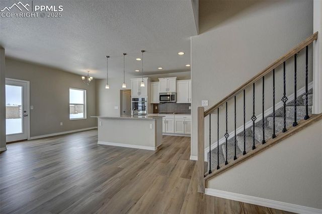 8235 Kittrick Place, Falcon, CO 80831