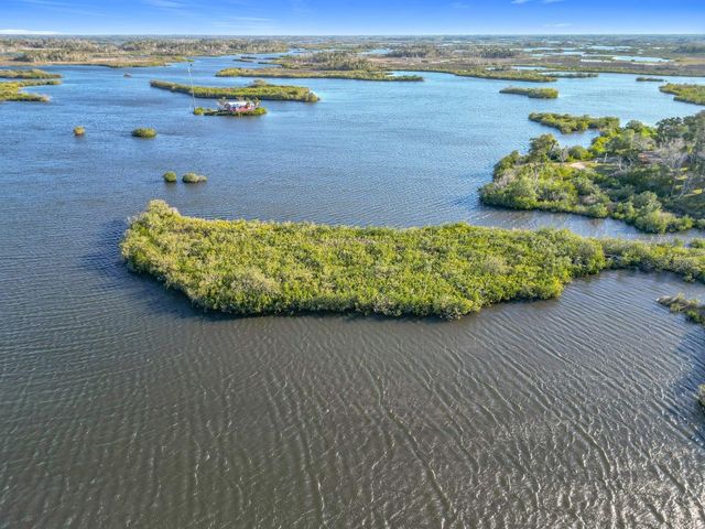 14101 W ST MARTINS ROAD, Crystal River, FL 34429