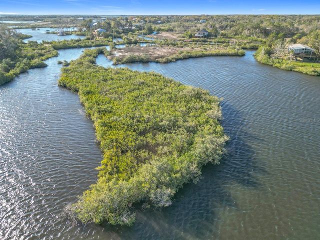 14101 W ST MARTINS ROAD, Crystal River, FL 34429