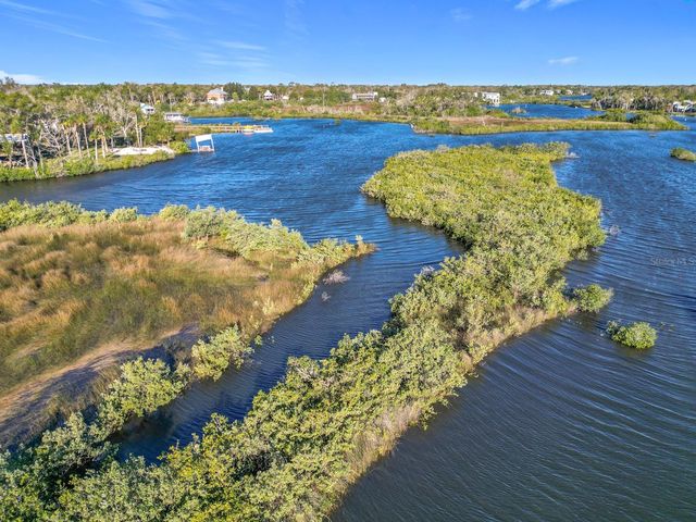 14101 W ST MARTINS ROAD, Crystal River, FL 34429