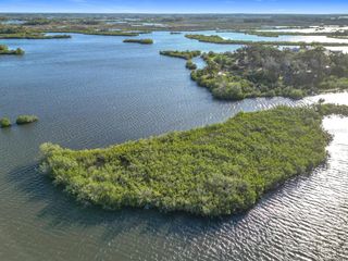 14101 W ST MARTINS ROAD, Crystal River, FL 34429