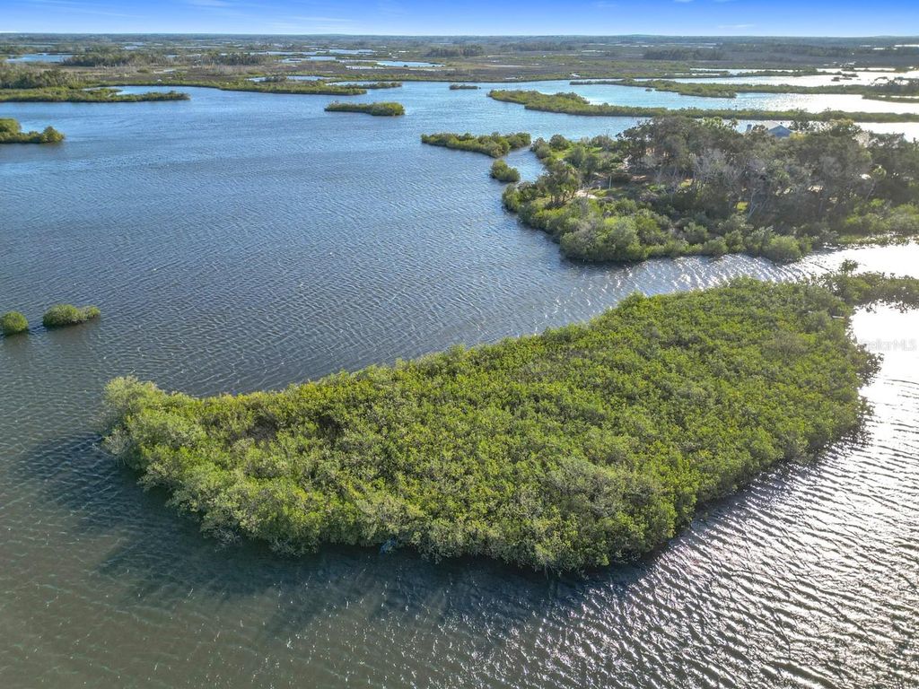 14101 W ST MARTINS ROAD, Crystal River, FL 34429