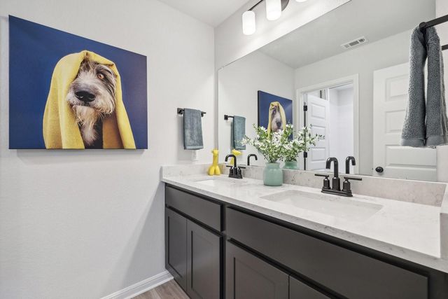 10511 Agile LN, Buda, TX 78610