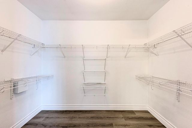 8708 Wood Stork DR, Austin, TX 78729