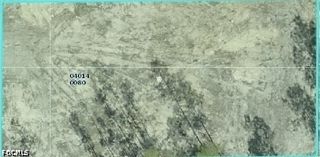 1308 Maple AVE N, Lehigh Acres, FL 33972