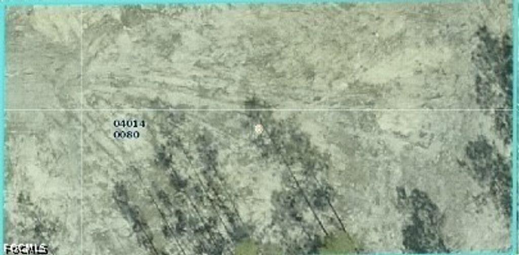 1308 Maple AVE N, Lehigh Acres, FL 33972