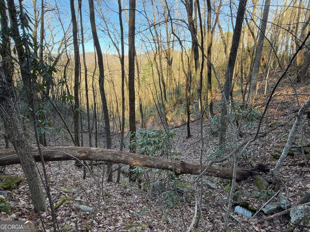 0 ARBUTUS TRAIL Arbutus Trail, Clayton, GA 30525 — photo 2
