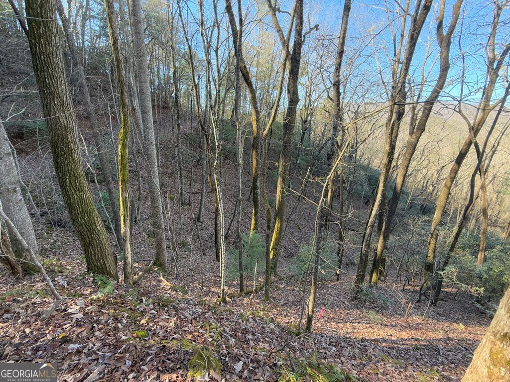 0 ARBUTUS TRAIL Arbutus Trail, Clayton, GA 30525 — photo 3