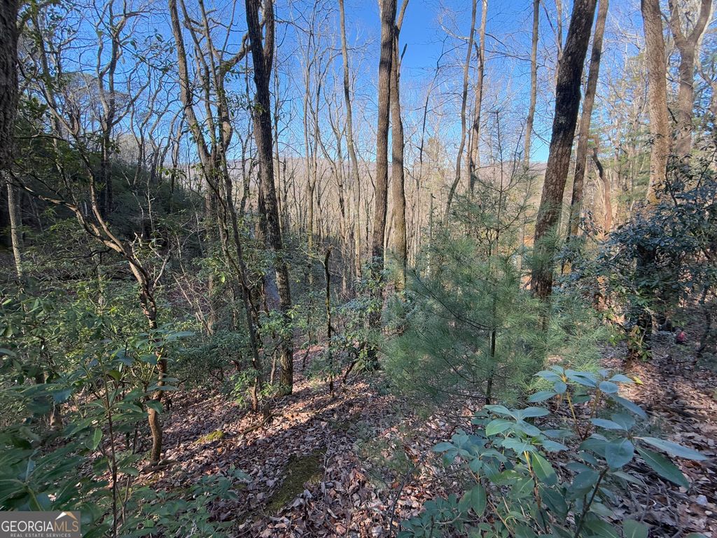 0 ARBUTUS TRAIL Arbutus Trail, Clayton, GA 30525 — photo 4