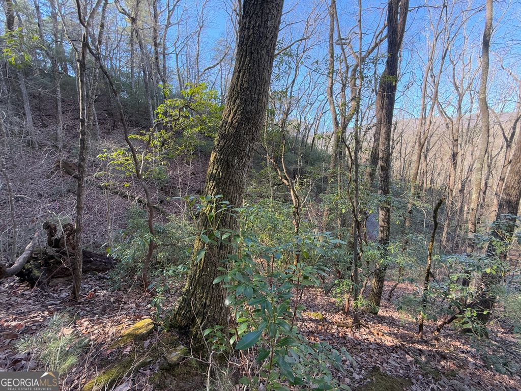 0 ARBUTUS TRAIL Arbutus Trail, Clayton, GA 30525 — photo 5