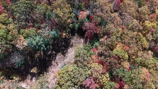 1205 Mays Ridge Road, Butler, TN 37640