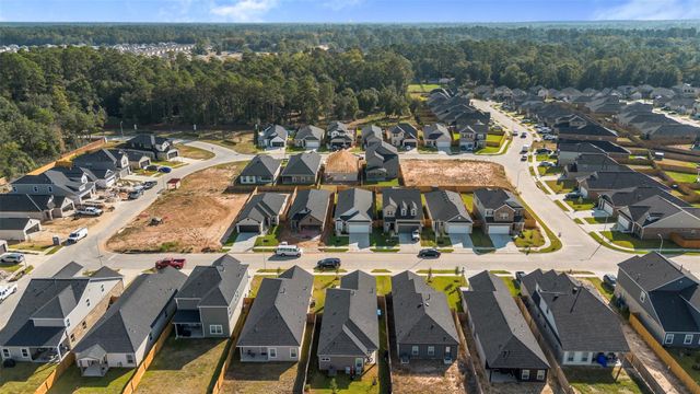 27390 Axis Deer Trail, Magnolia, TX 77354
