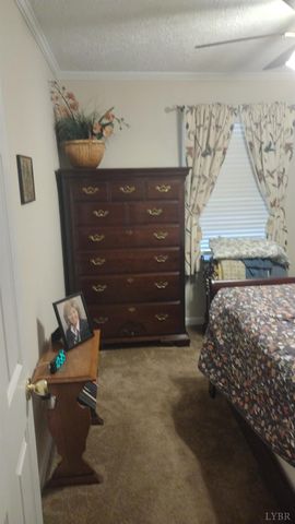 618 Prospect Road, Hurt, VA 24563