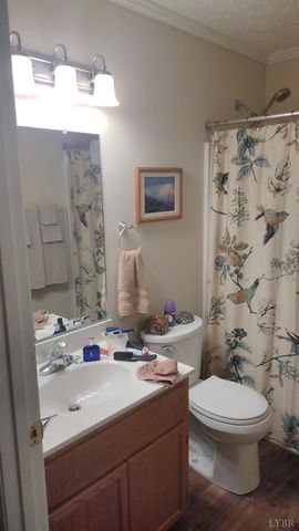 618 Prospect Road, Hurt, VA 24563