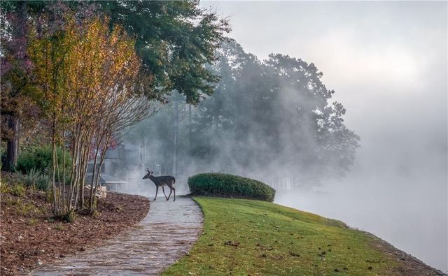 3600 CEDAR KNOLL Drive, Roswell, GA 30076