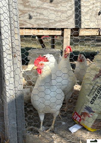 600 Russell Street, Firth, NE 68358