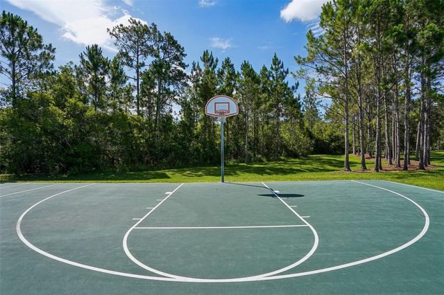 2331 CARNATION HILL COURT, Orlando, FL 32820