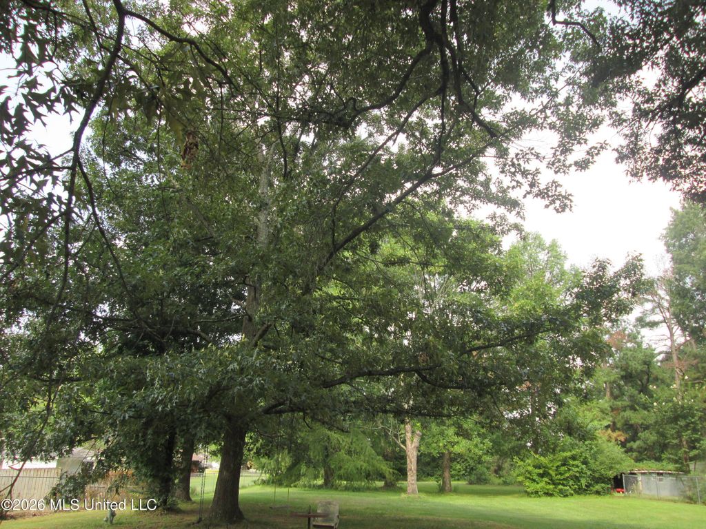 Blocker Street, Olive Branch, MS 38654 — photo 2