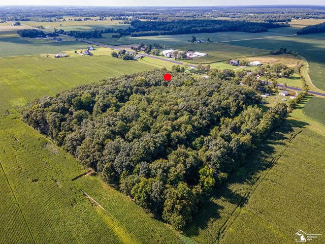 8945 S Custer Road, Raisinville Twp, MI 48161