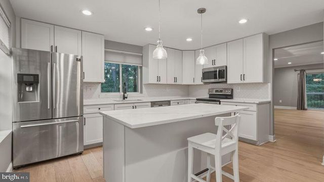 11882 BLUE FEBRUARY WAY N, Columbia, MD 21044