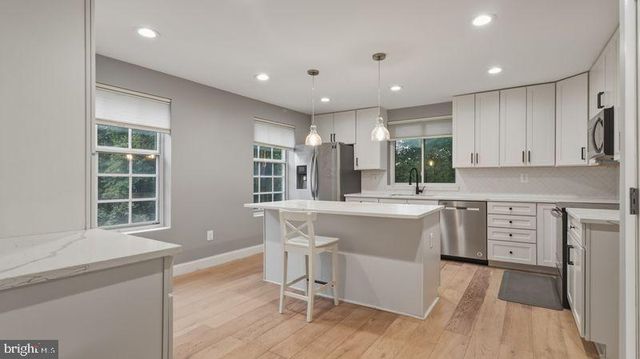 11882 BLUE FEBRUARY WAY N, Columbia, MD 21044