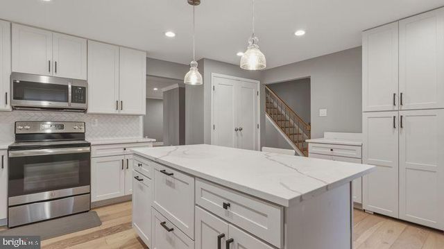 11882 BLUE FEBRUARY WAY N, Columbia, MD 21044