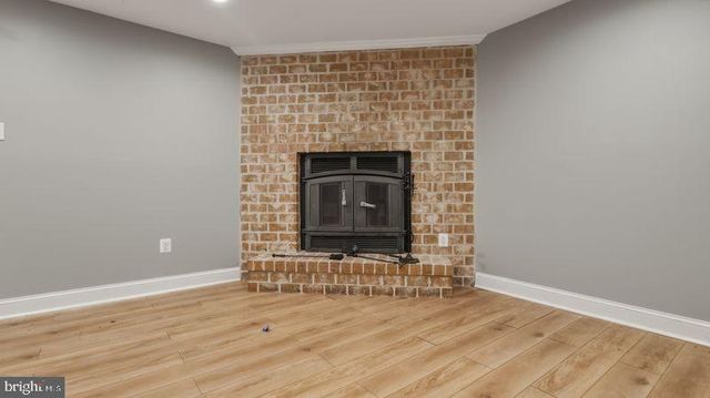 11882 BLUE FEBRUARY WAY N, Columbia, MD 21044