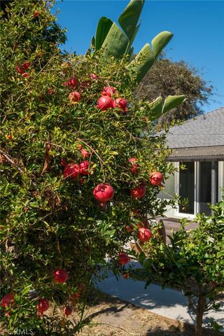 3411 S Cloverdale Avenue, Los Angeles, CA 90016