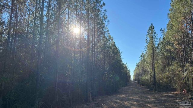 lot 67 Straw Bridge Rd, Allentown, FL 32565