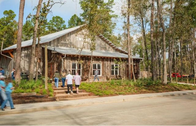 11403 Mandolin Drive, Montgomery, TX 77316